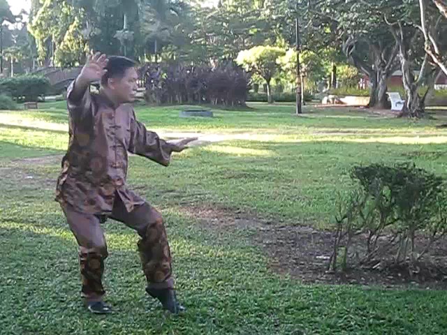 Wu Chuan You Style Taijiquan